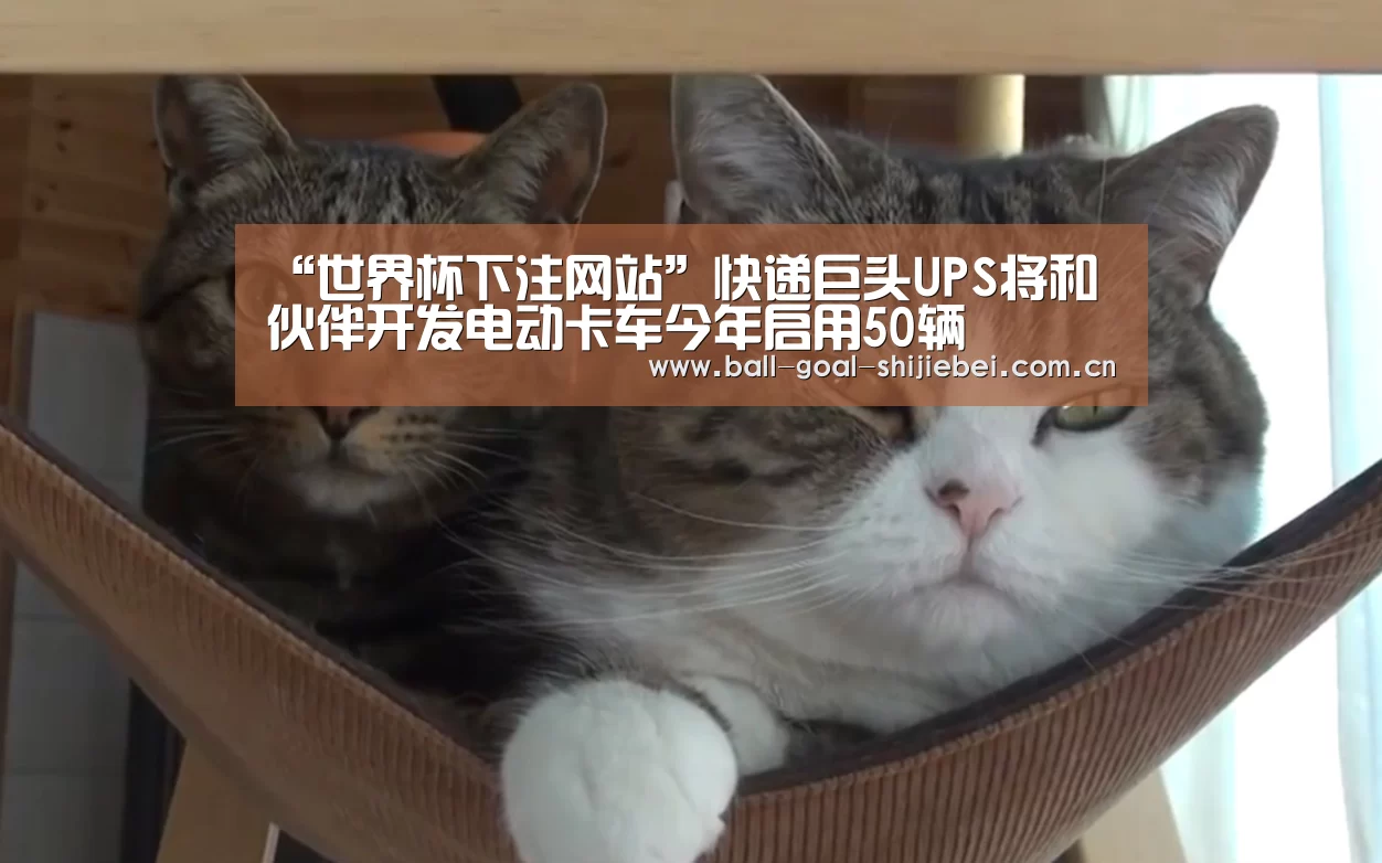 “世界杯下注网站”快递巨头UPS将和伙伴开发电动卡车今年启用50辆(图3) 世界杯下注