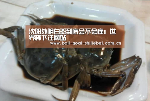 沈阳外阴白斑到底会不会痒:世界杯下注网站(图1) 世界杯下注网站